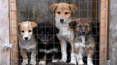 Наши ДОБРЫЕ ДЕЛА